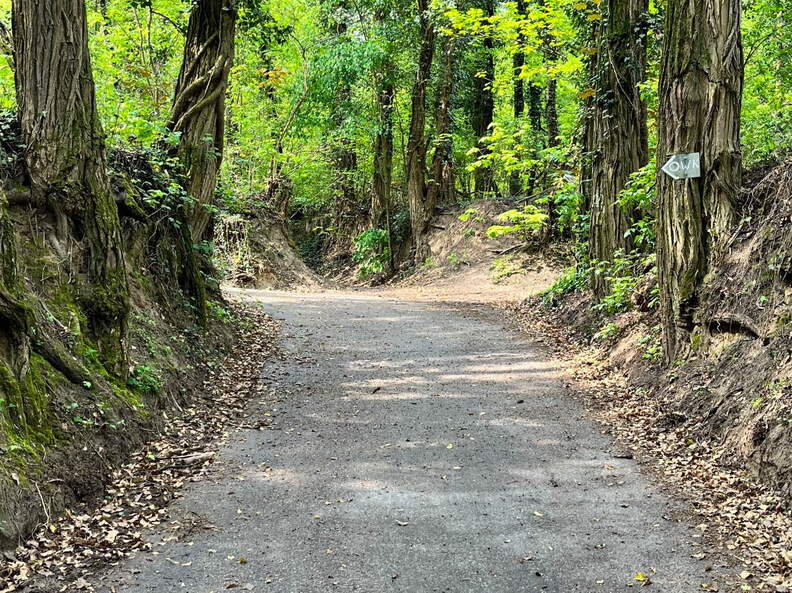 22-04-25 11-19-47 0615